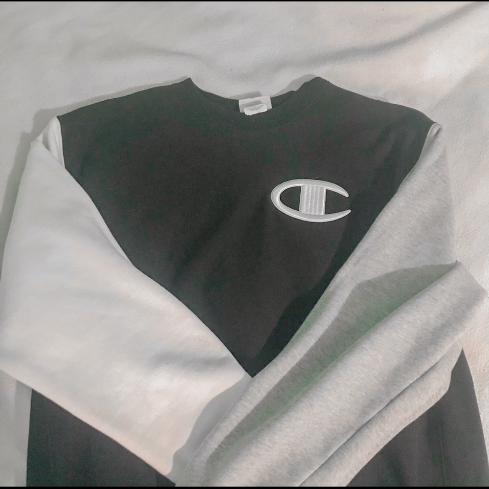 black champion reverse weave colorblock hoodie